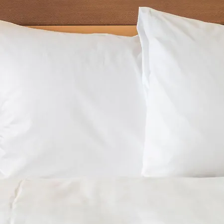 Express Toulouse Airport By Ihg 3* Μπλανιάκ
